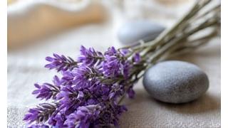 Calm, soft-focus image of lavender sprigs and smooth river stones, evoking relaxation and tranquility.